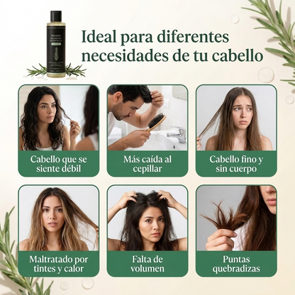 Champú de Crecimiento Dexvon™ - Romero + Queratina